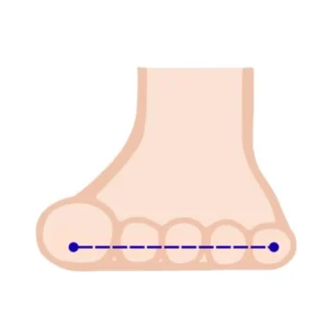 開帳足イラスト