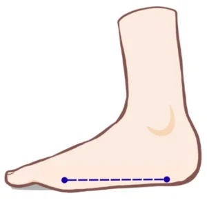 扁平足のイラスト