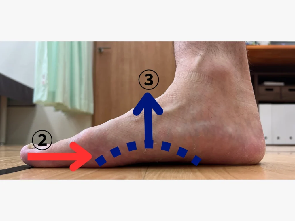 ショートフットエクササイズのやり方
