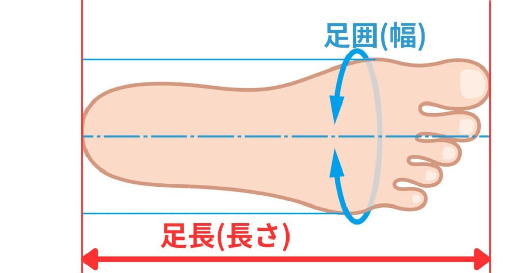 足長と足囲のイラスト