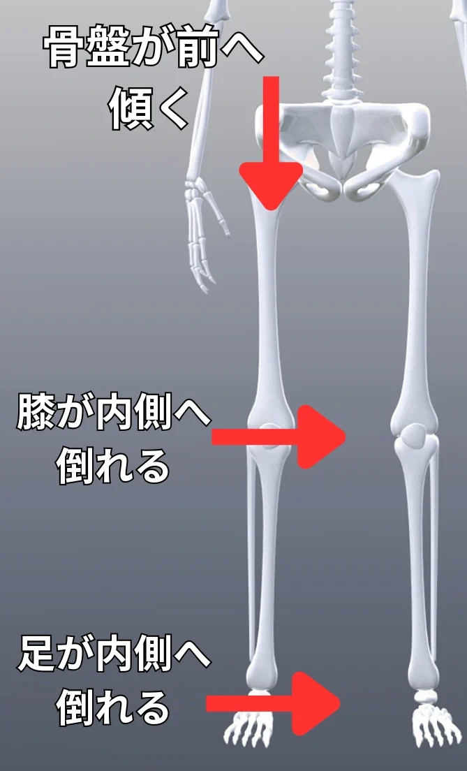 上行運動連鎖解説写真